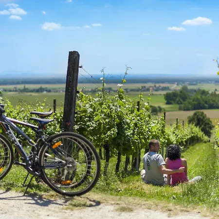 Termal - Terme 3000 - Sava & Hotel Moravske Toplice