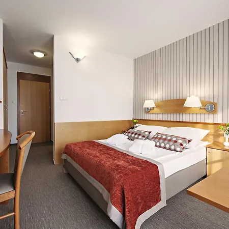 Termal - Terme 3000 - Sava & 4* Moravske Toplice