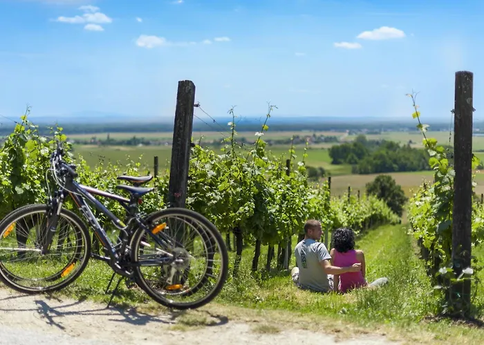 Termal - Terme 3000 - Sava & Szálloda Alsómarác