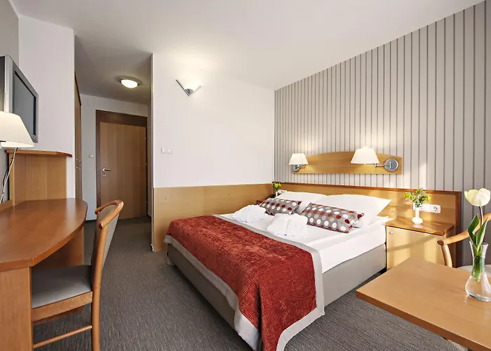 Termal - Terme 3000 - Sava & Moravske Toplice