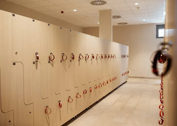 Termal - Terme 3000 - Sava & Hotel