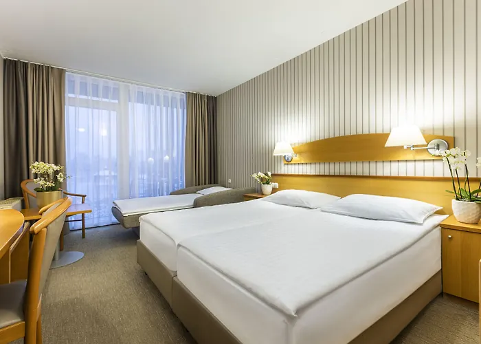 Hotel Termal - Terme 3000 - Sava &