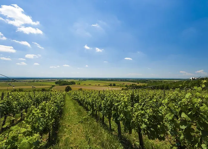 테르말 - 테름 3000 - 사바 호텔&리조트 호텔 4*