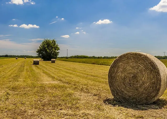 Termal - Terme 3000 - Sava & 4* Моравске-Топлице